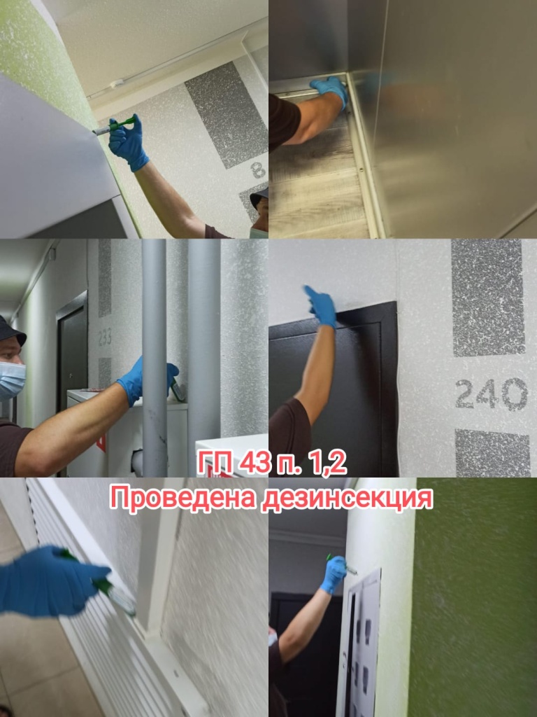 120925_гп43_дезинсекция.jpeg 120925_гп43_дезинсекция.jpeg