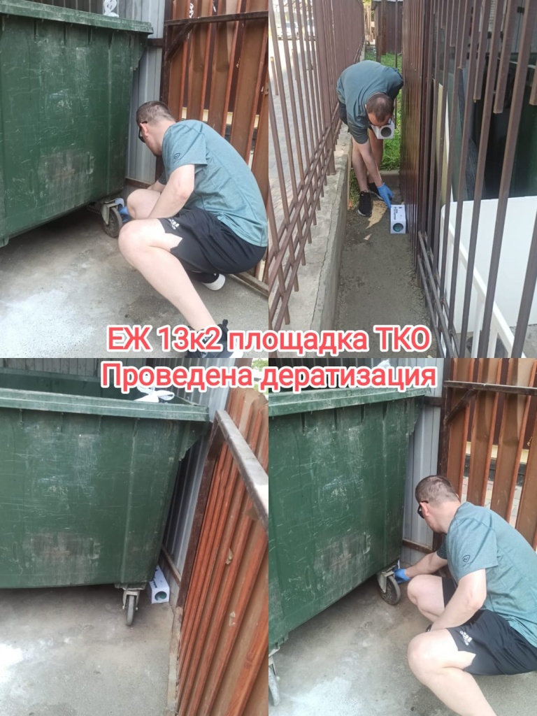 100625_ЕЖ13-2_дератизация.jpg 100625_ЕЖ13-2_дератизация.jpg