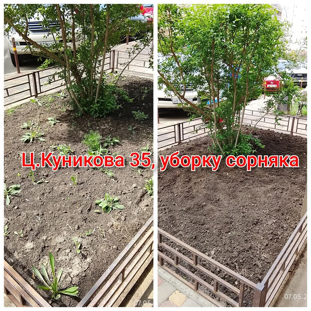 IMG_20260514_090359.png