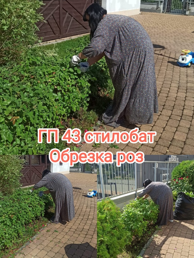 150725_ГП43_обрезка роз.jpg
