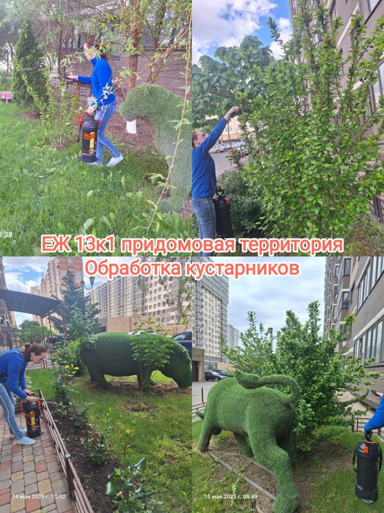 150525_ЕЖ13-1_придомовая.jpg 150525_ЕЖ13-1_придомовая.jpg