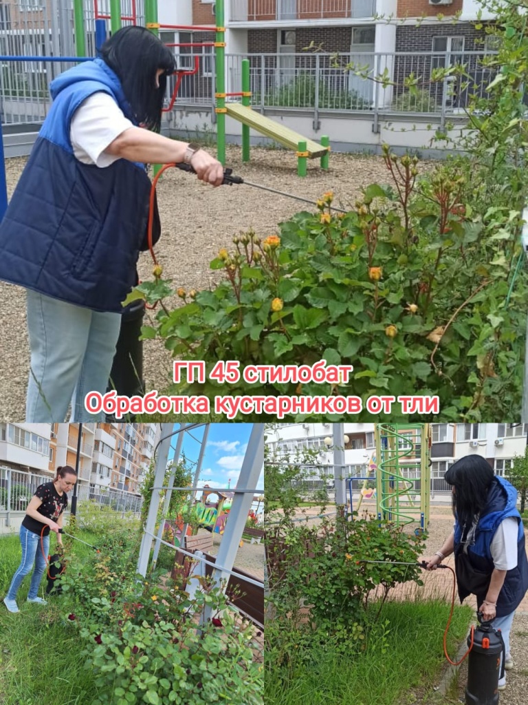 160525_ГП45_стилобат_обработка от тли.jpg 160525_ГП45_стилобат_обработка от тли.jpg