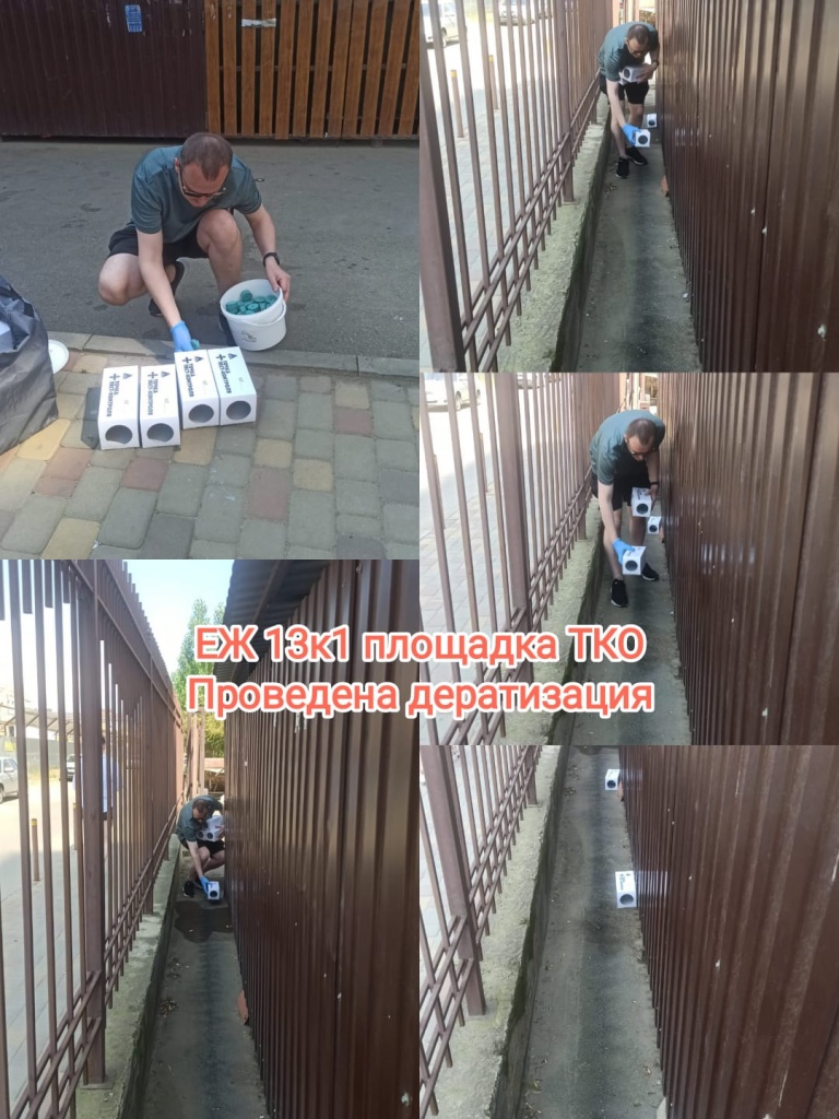 100625_ЕЖ13-1_дератизация.jpg 100625_ЕЖ13-1_дератизация.jpg