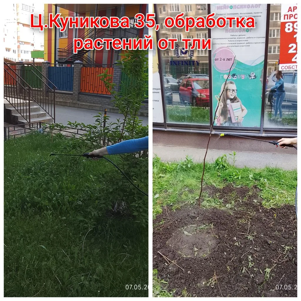 IMG_20260514_090056.png