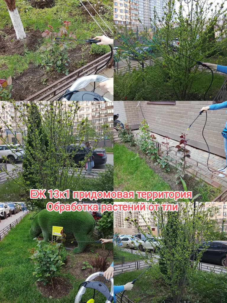 IMG_20260514_090047.png