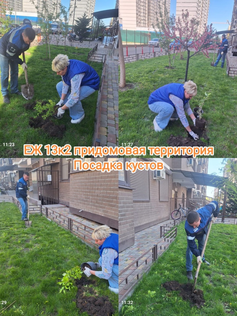 170425_ЕЖ13-2_придомовая посадка.jpg 170425_ЕЖ13-2_придомовая посадка.jpg
