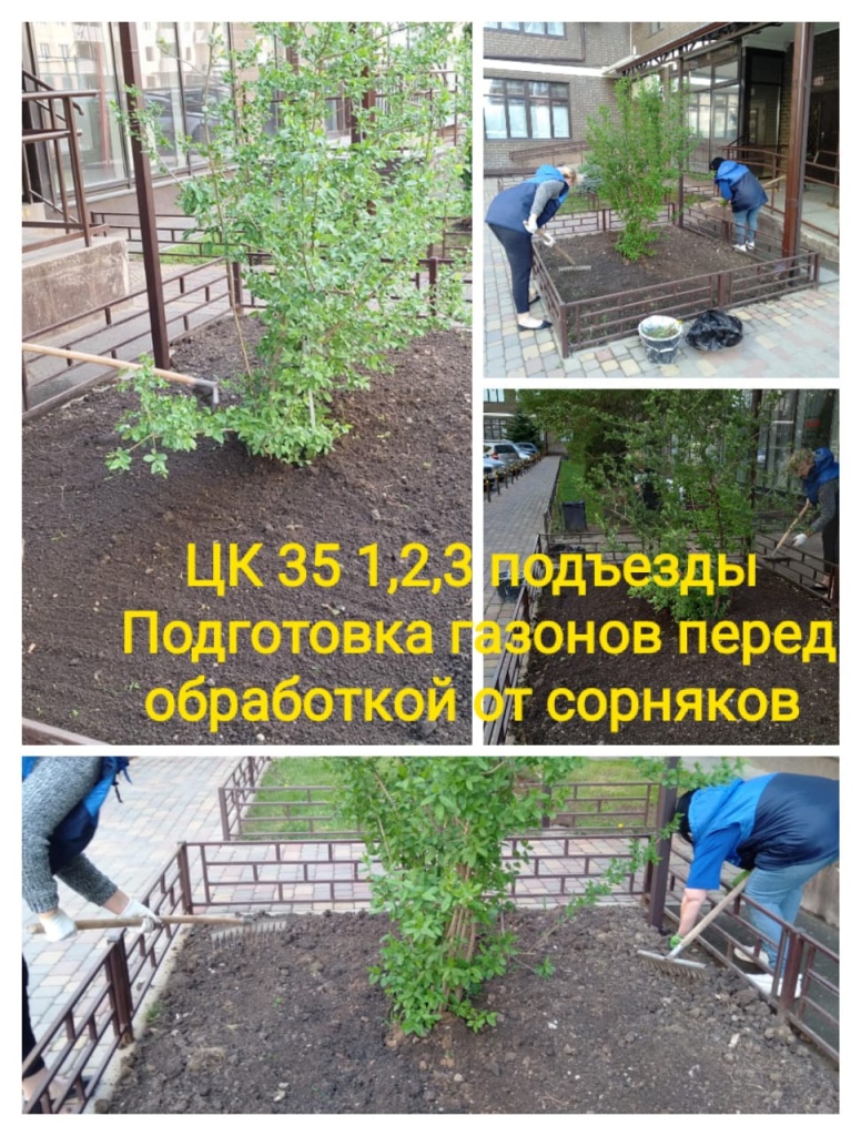 160424_цк35,газоны.jpg 160424_цк35,газоны.jpg