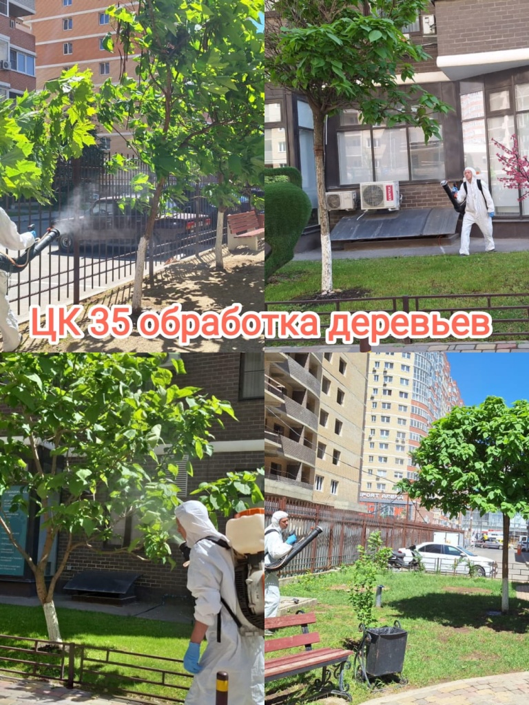 80524_цк35_обработка деревьев.jpg 80524_цк35_обработка деревьев.jpg