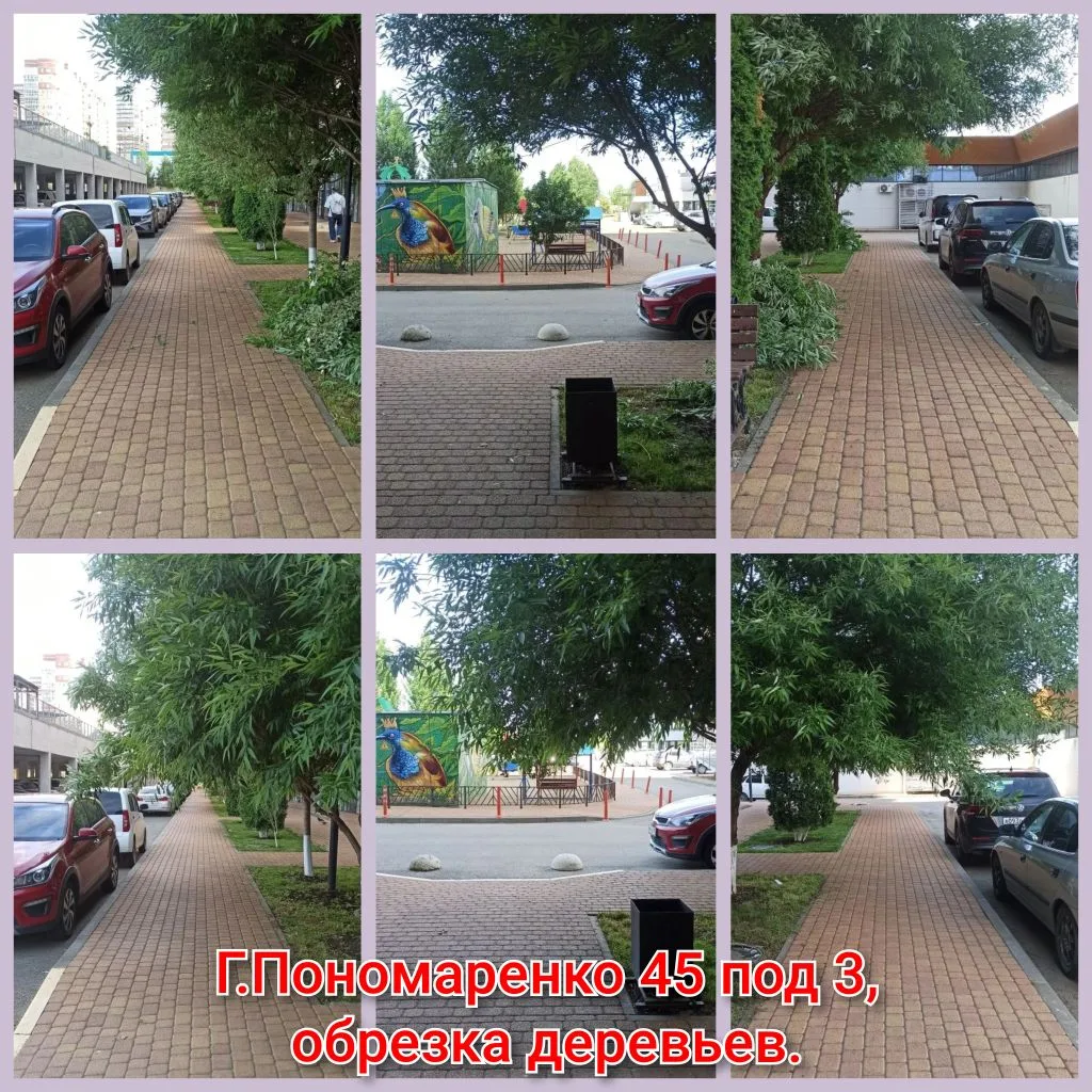 IMG_20260527_084650.png IMG_20260527_084650.png