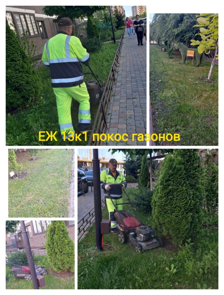 210524_еж13-1_покос газонов.jpg 210524_еж13-1_покос газонов.jpg