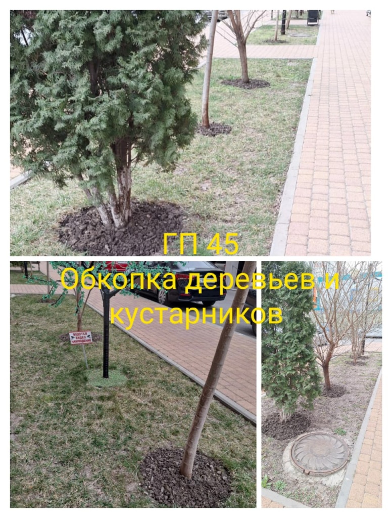 40324_гп45_обкопка деревьев.jpg 40324_гп45_обкопка деревьев.jpg