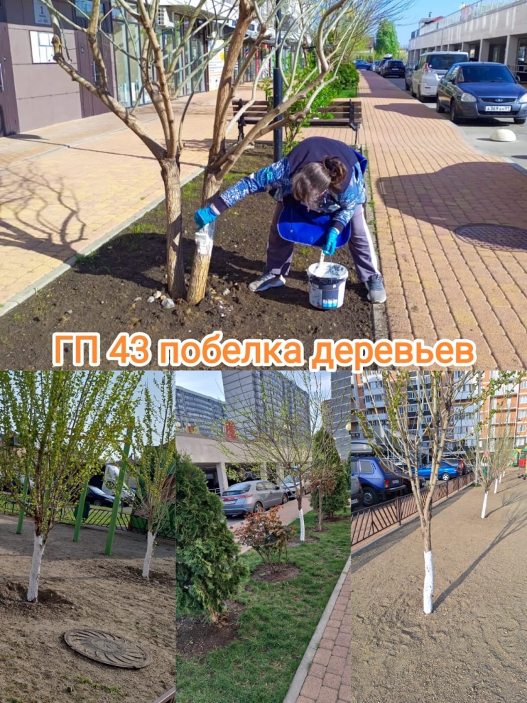 110424_гп43_побелка деревьев.jpg 110424_гп43_побелка деревьев.jpg