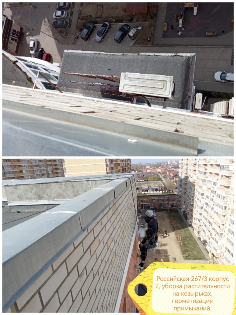 250324_Росс2_альпинисты3.jpg 250324_Росс2_альпинисты3.jpg