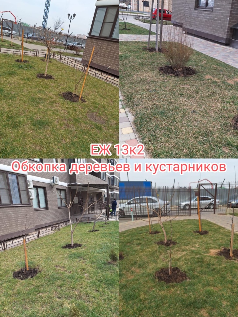 40324_еж13-2_обкопка деревьев.jpg 40324_еж13-2_обкопка деревьев.jpg