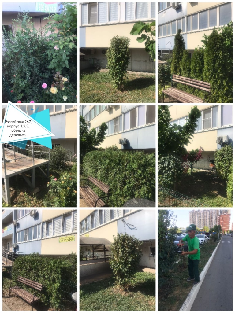290824_оникс_обрезка растительности.jpg 290824_оникс_обрезка растительности.jpg