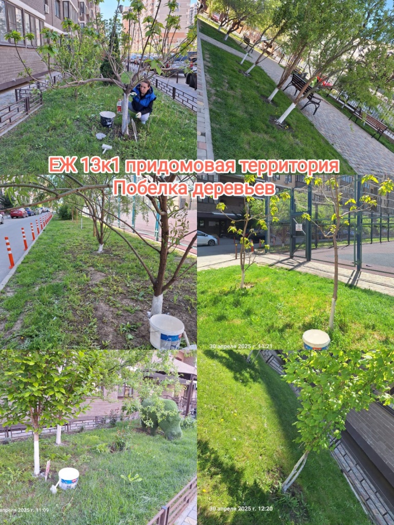 290425_ЕЖ13-1_побелка.jpg 290425_ЕЖ13-1_побелка.jpg