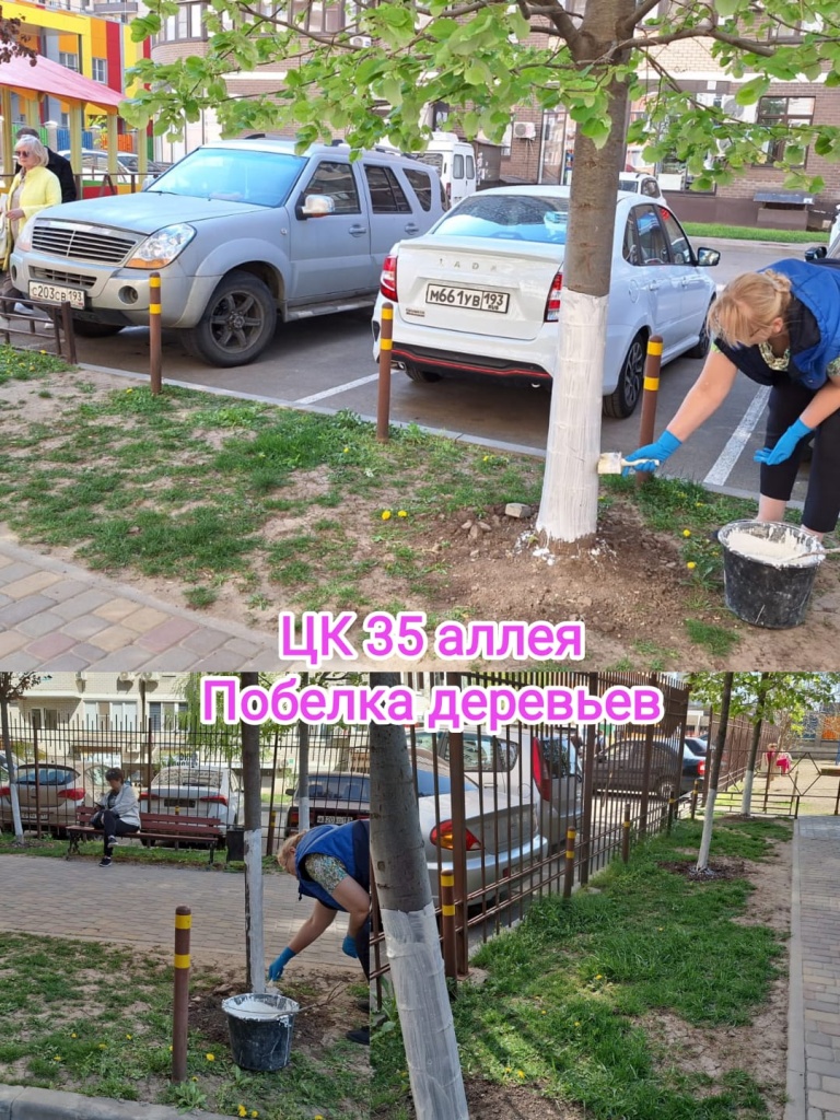 90424_цк35_аллея_побелка.jpg 90424_цк35_аллея_побелка.jpg
