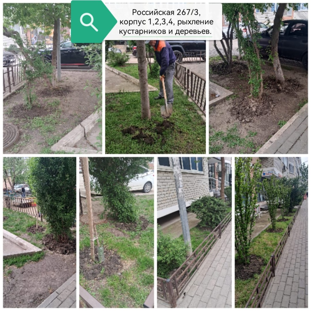 240425_Росс1234_обкопка.jpg 240425_Росс1234_обкопка.jpg