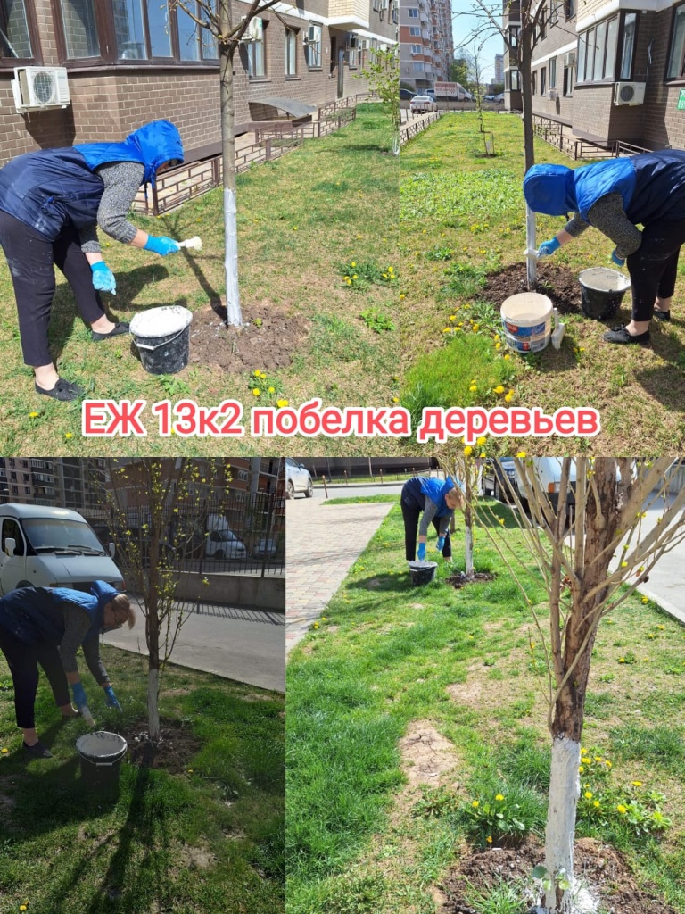 100424_еж13-2 побелка.jpg 100424_еж13-2 побелка.jpg