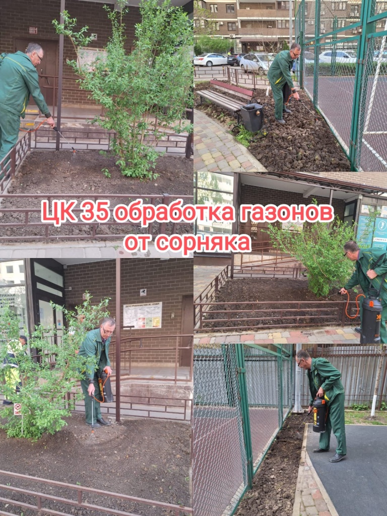 170424_цк35_обработка газонов.jpg 170424_цк35_обработка газонов.jpg