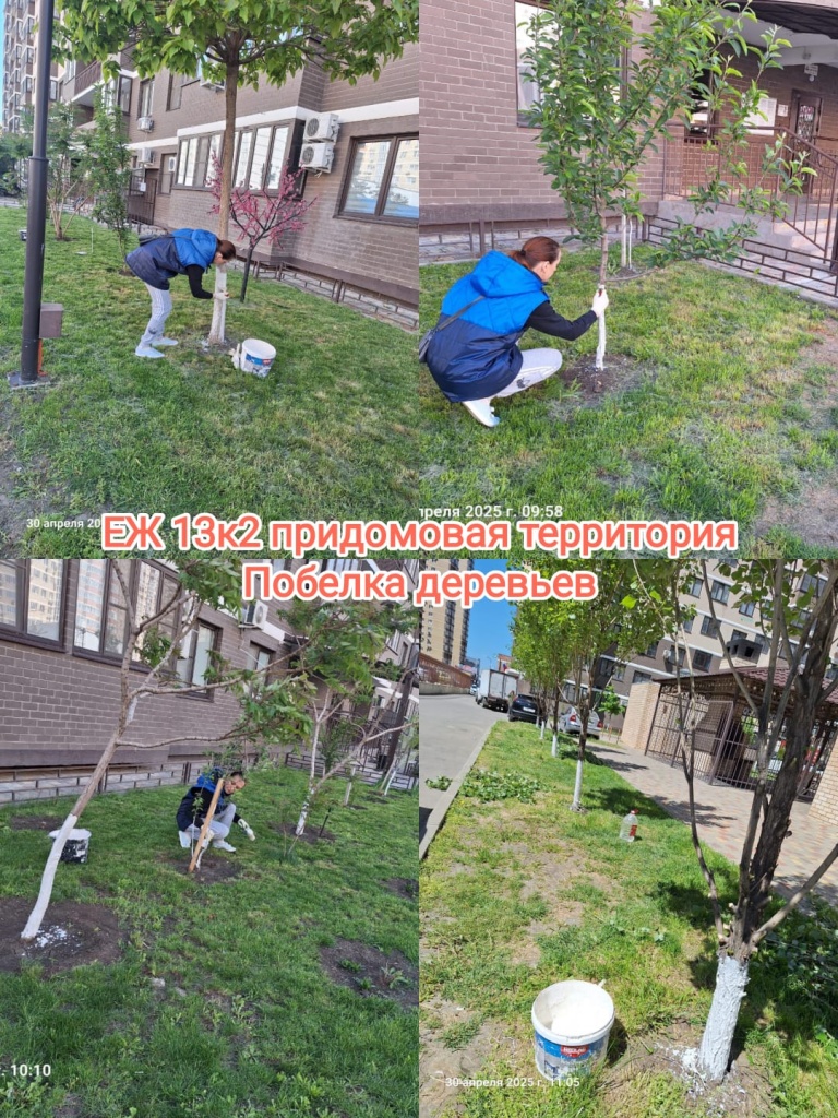 290425_ЕЖ13-2_побелка.jpg 290425_ЕЖ13-2_побелка.jpg