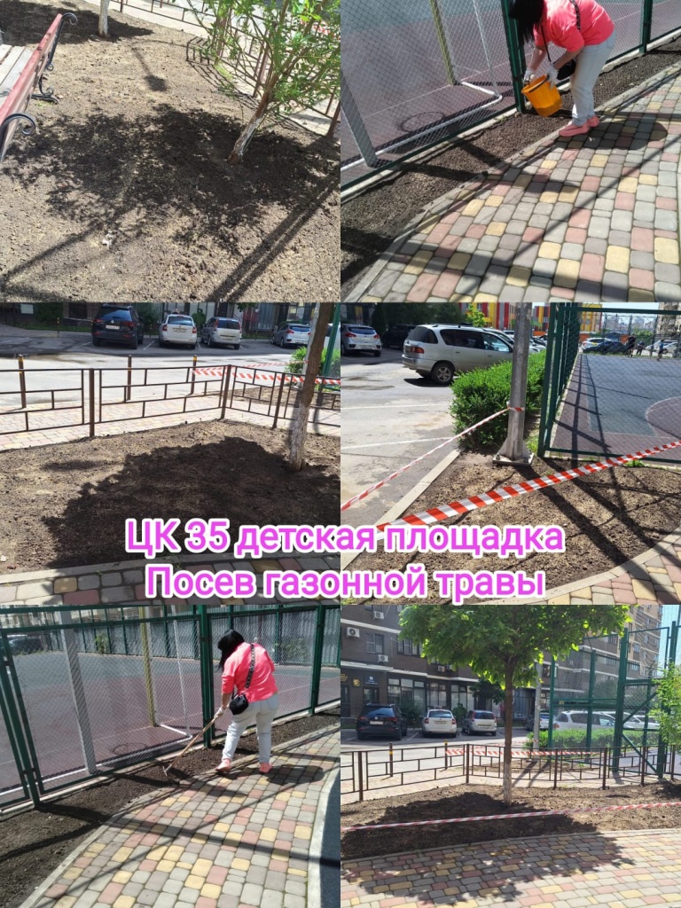 270524_цк35_ДП_посев газона.jpg 270524_цк35_ДП_посев газона.jpg