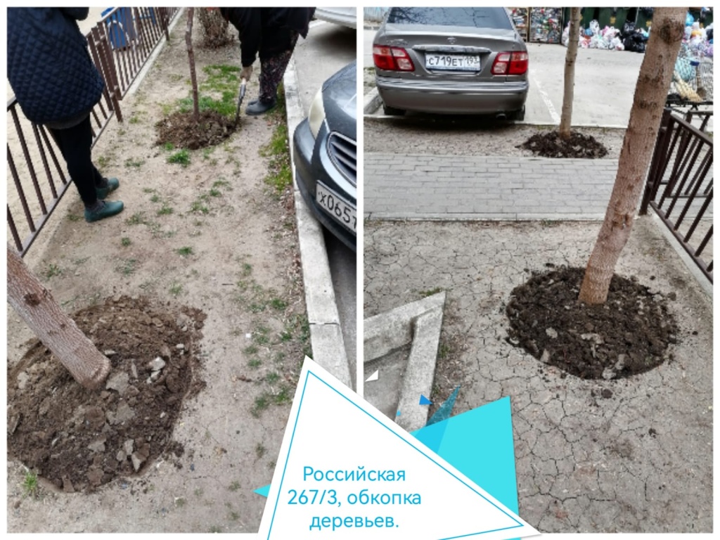 140324_Росс_обкопка.jpg 140324_Росс_обкопка.jpg