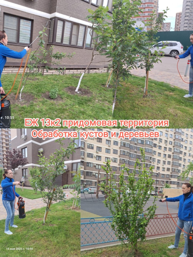 150525_ЕЖ13-2_придомовая.jpg 150525_ЕЖ13-2_придомовая.jpg