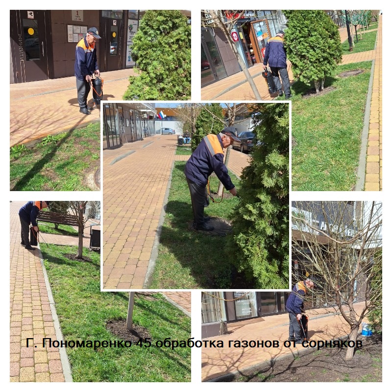 280324_гп45_обработка газонов.jpg 280324_гп45_обработка газонов.jpg