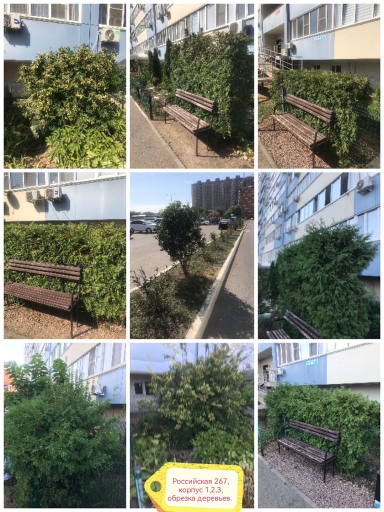 290824_оникс_обрезка деревьев.jpg 290824_оникс_обрезка деревьев.jpg