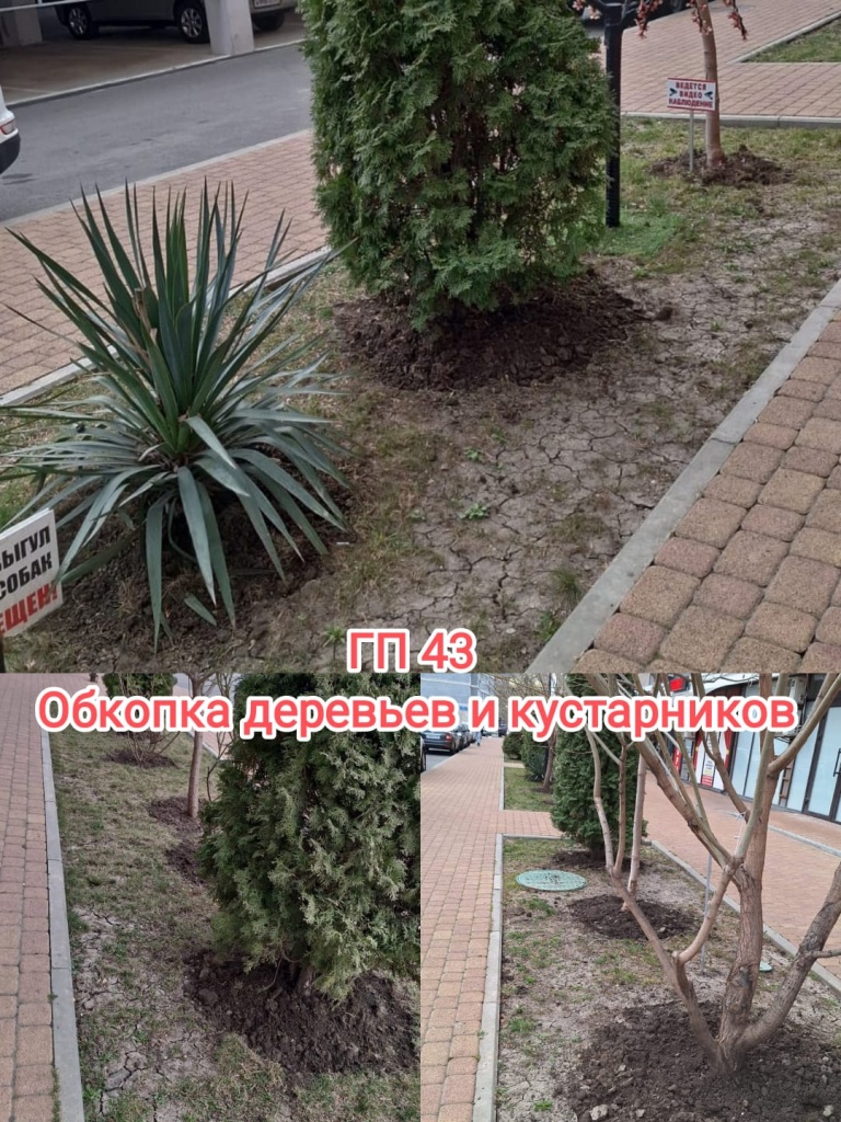 40324_гп43_обкопка_деревьев.jpg 40324_гп43_обкопка_деревьев.jpg
