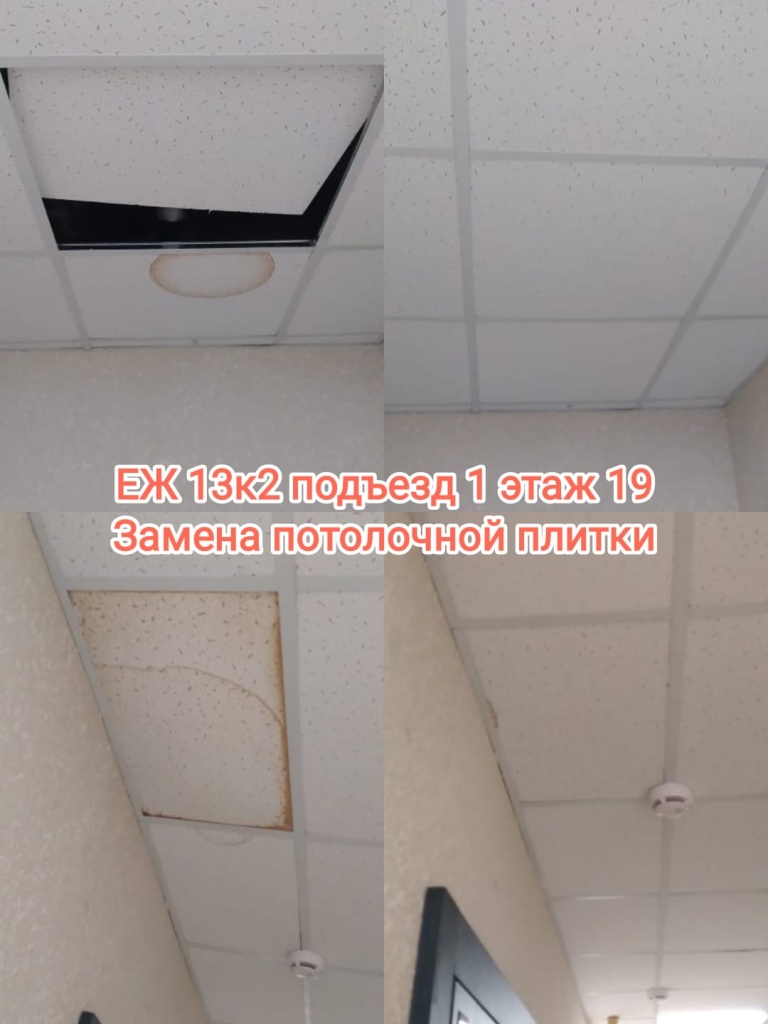 240524_еж13-2_1п_19эт_потолочная плитка.jpg 240524_еж13-2_1п_19эт_потолочная плитка.jpg