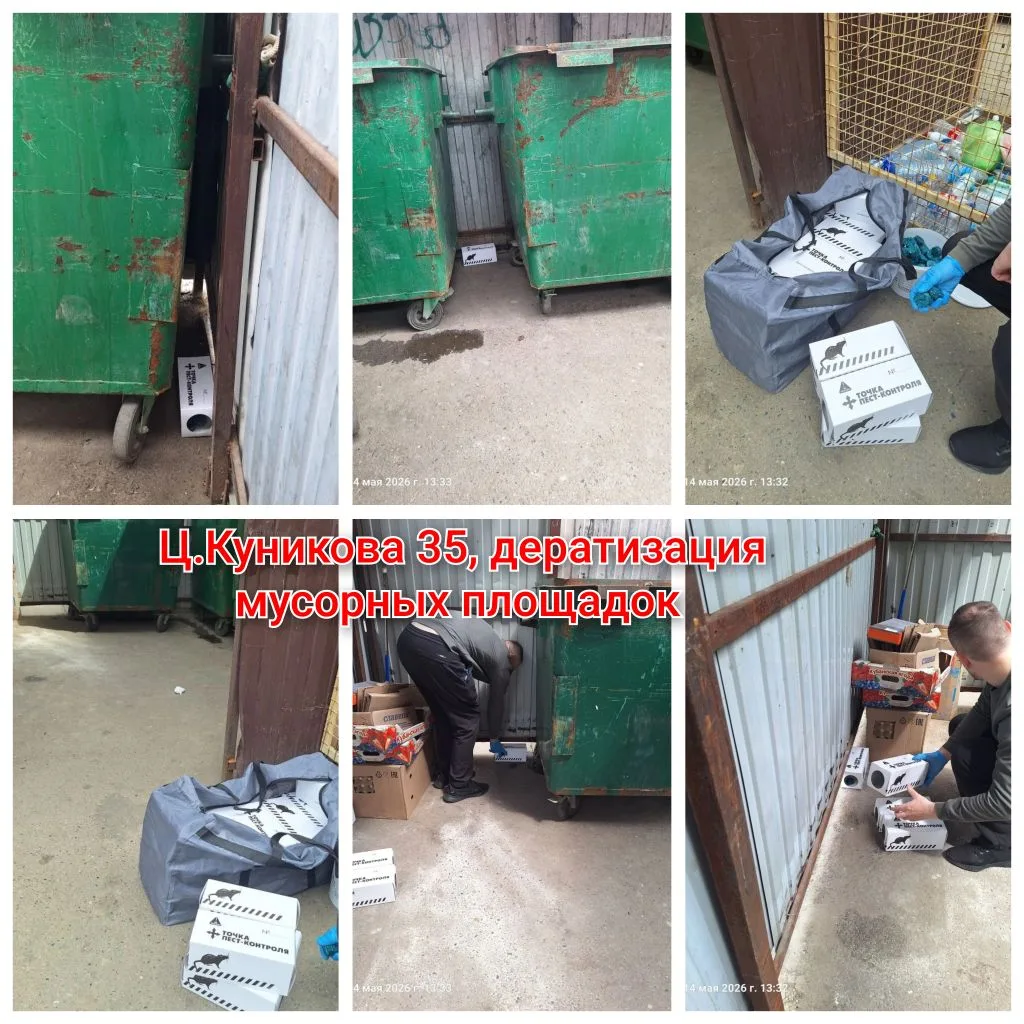 IMG_20260515_154428.png IMG_20260515_154428.png