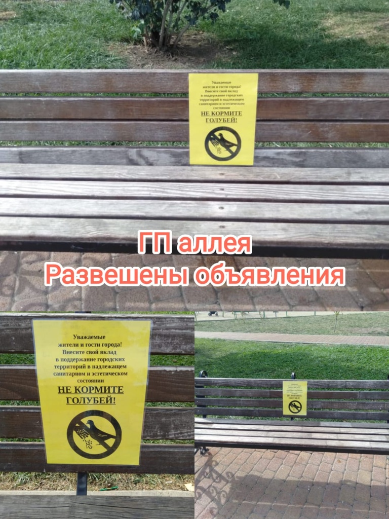 120924_гп аллея_объявления.jpg 120924_гп аллея_объявления.jpg
