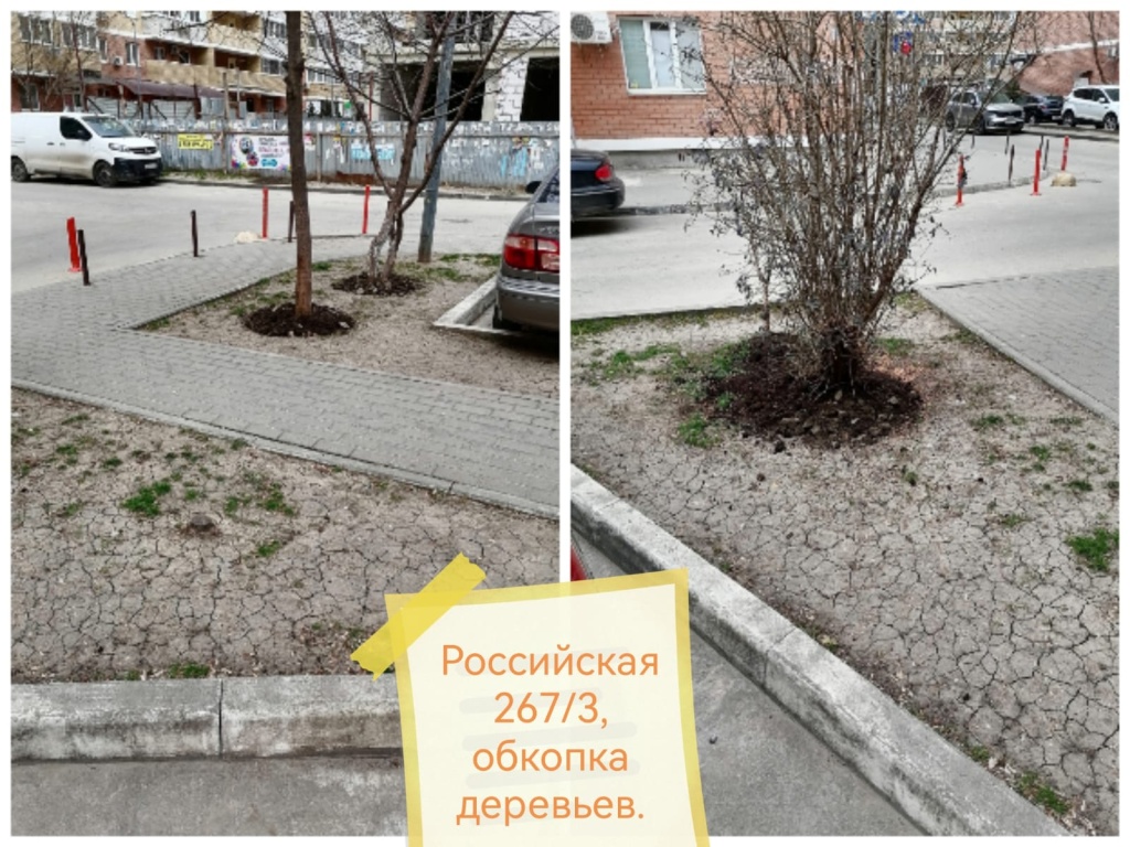 140324_Росс_обкопка2.jpg 140324_Росс_обкопка2.jpg
